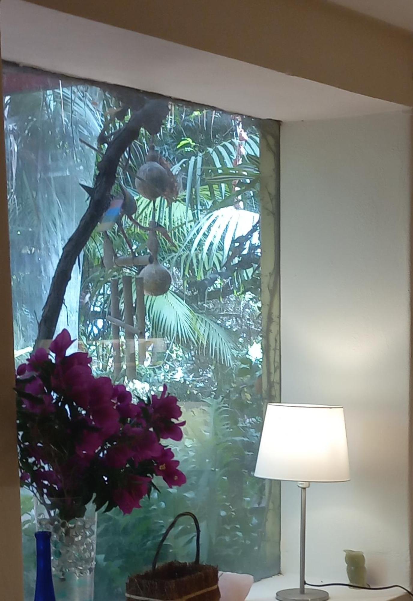Вилла Vivelorural Casita Vintage, Santa Brigida Экстерьер фото